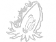 Outter'space Astrophotography Logo